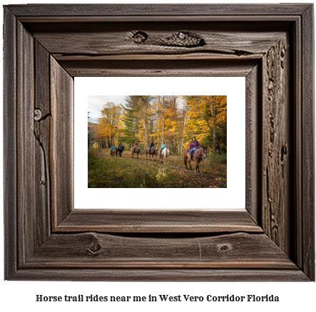 horse trail rides near me in West Vero Corridor, Florida